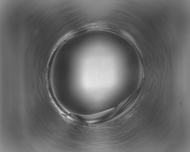 X0000056021434200508191316