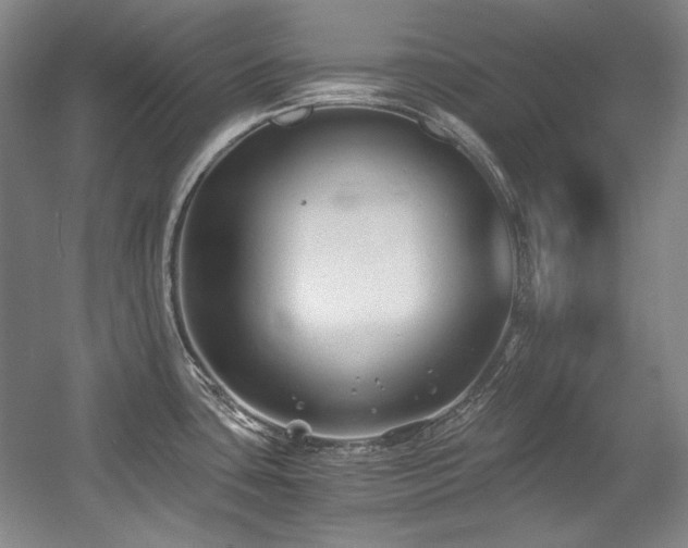 X0000056021435200508191316