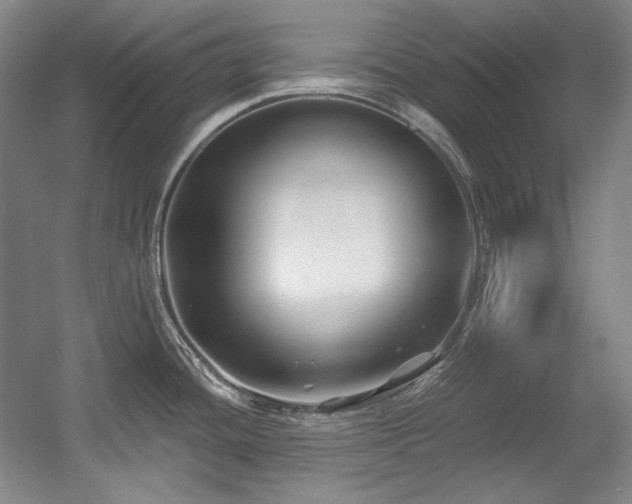 X0000056021436200508191316