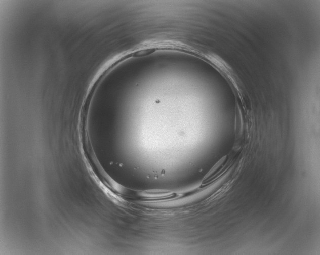 X0000056021438200508191316