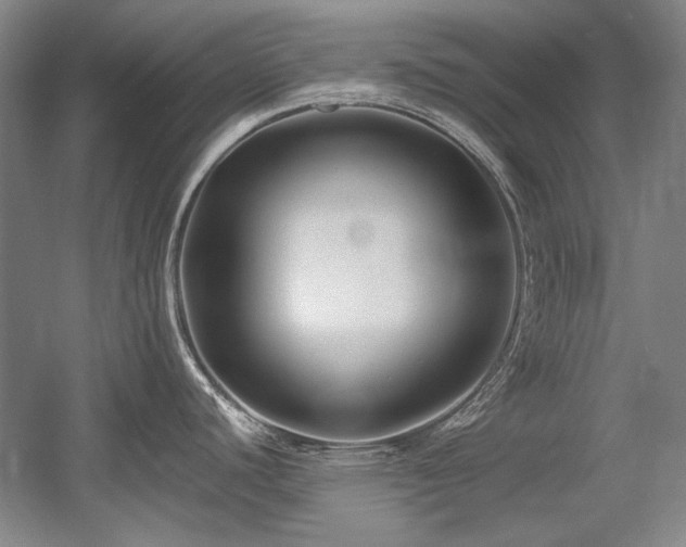 X0000056021440200508191316