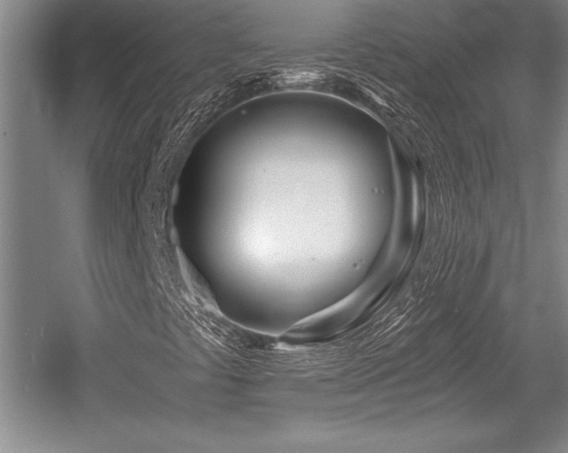 X0000056021441200508191315