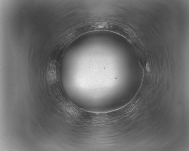 X0000056021442200508191315