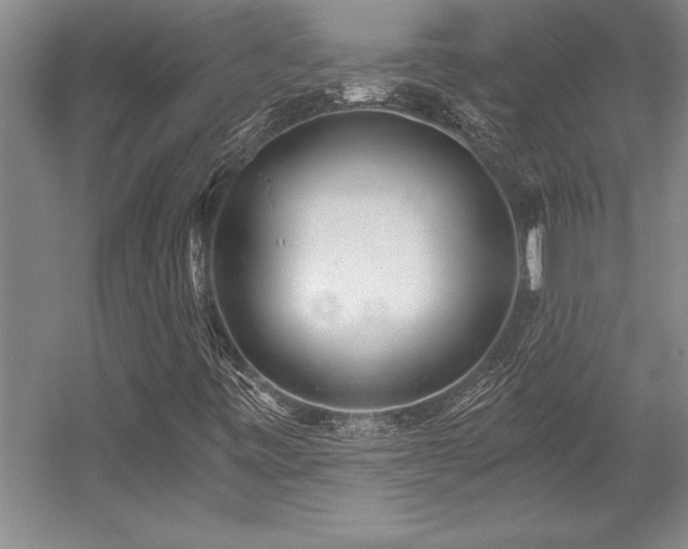 X0000056021443200508191315
