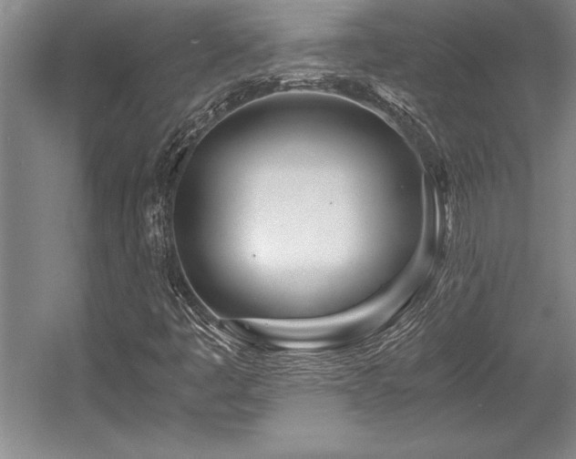 X0000056021445200508191315