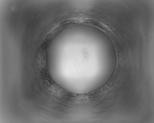 X0000056021446200508191315