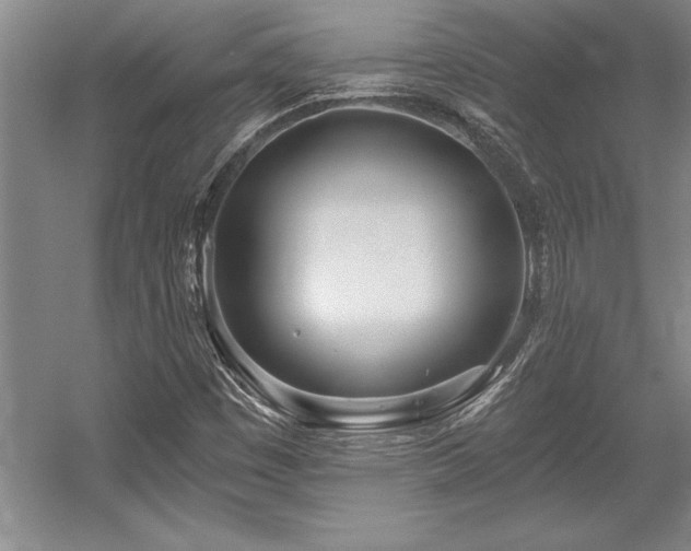 X0000056021449200508191315