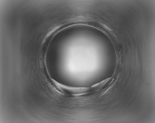 X0000056021453200508191315