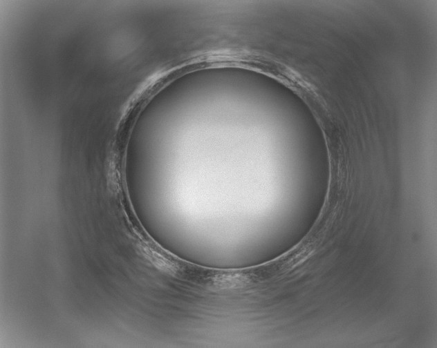 X0000056021454200508191315