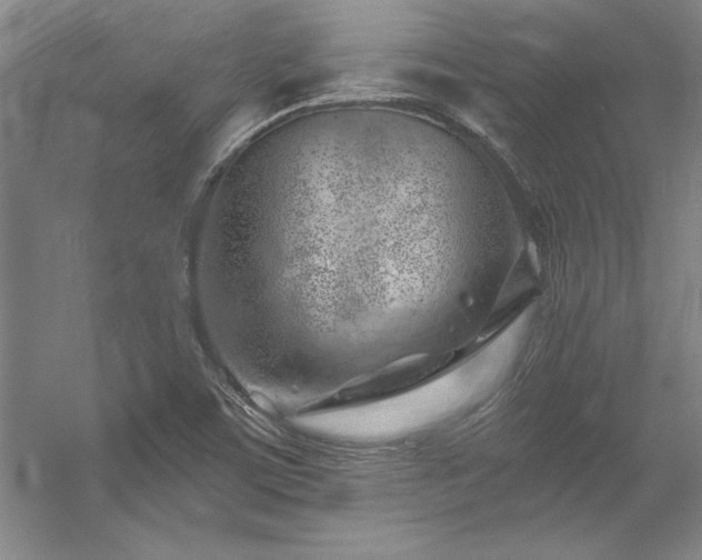 X0000056021459200508191315