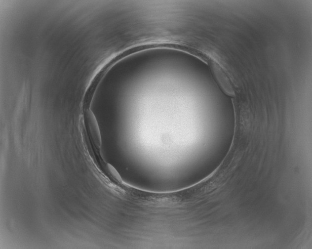 X0000056021460200508191315