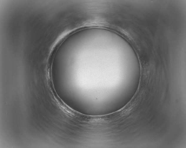 X0000056021462200508191315