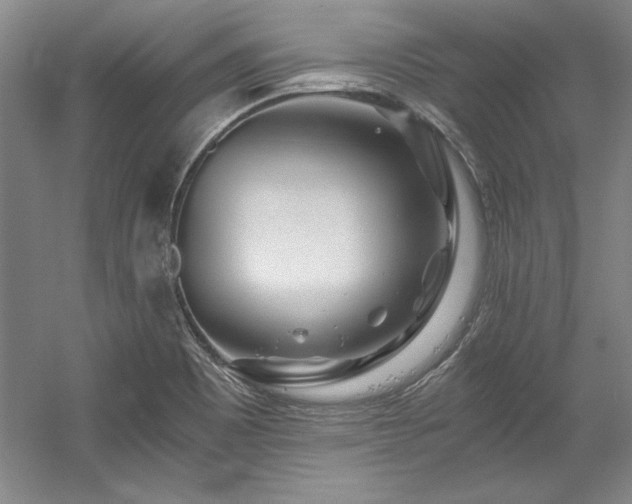 X0000056021465200508191315