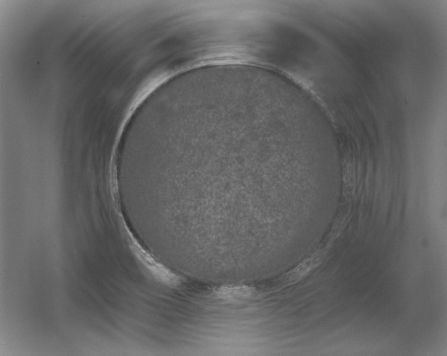 X0000056021466200508191315