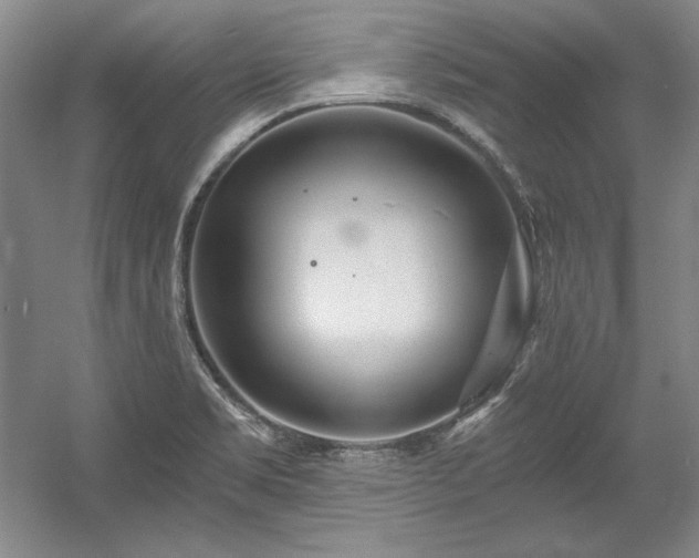 X0000056021469200508191315