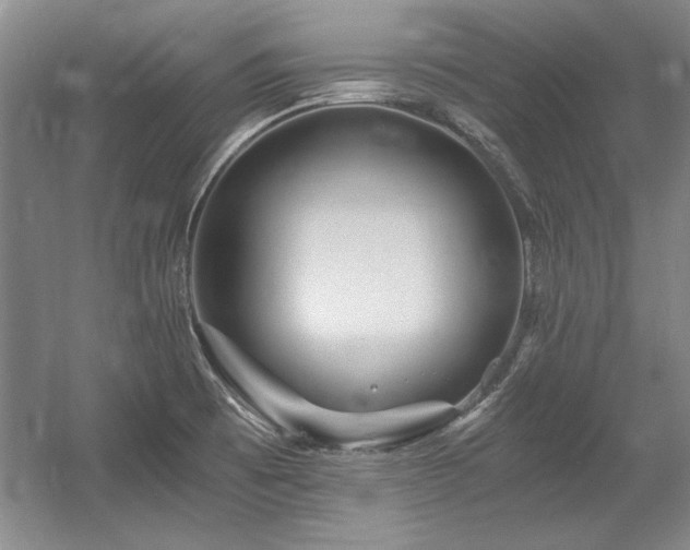 X0000056021473200508191314