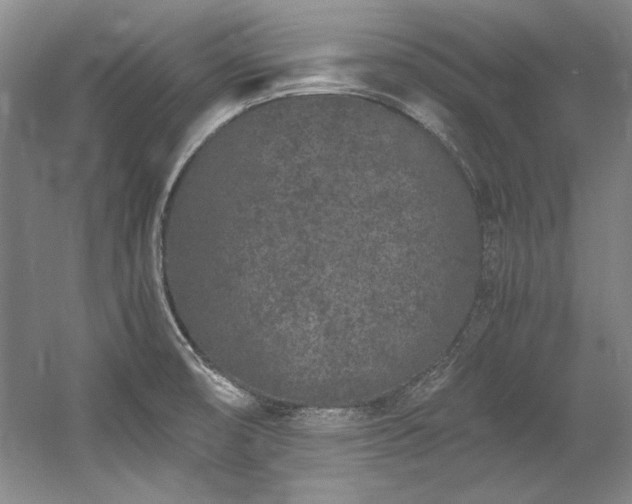 X0000056021474200508191314