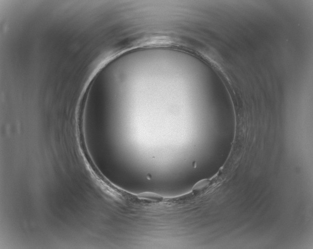 X0000056021475200508191314