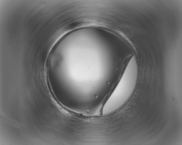 X0000056021476200508191314