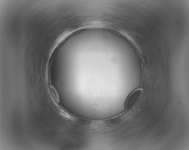X0000056021477200508191314