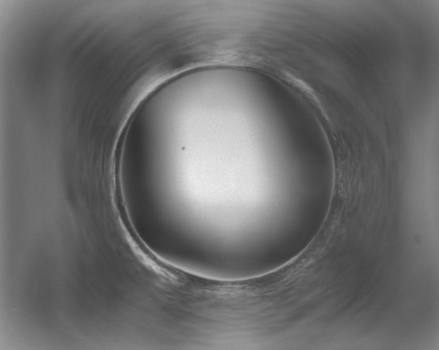 X0000056021479200508191314