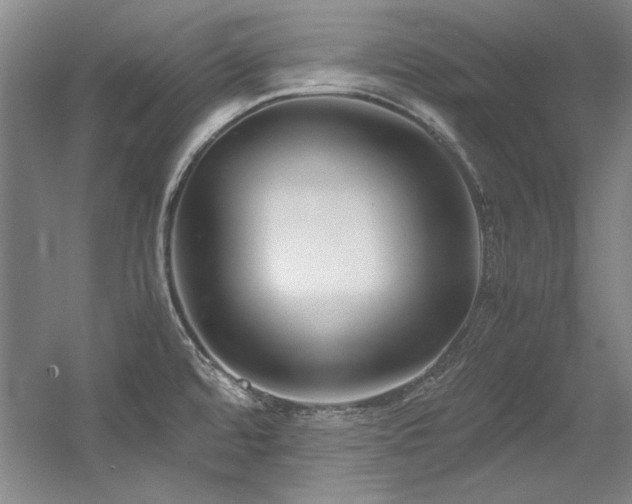 X0000056021480200508191314