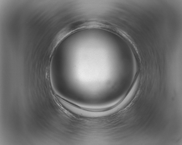 X0000056021481200508191314