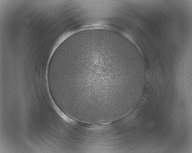 X0000056021482200508191314