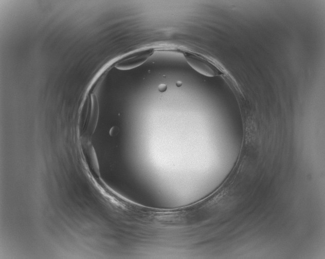 X0000056021484200508191314