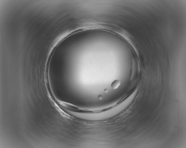 X0000056021485200508191314