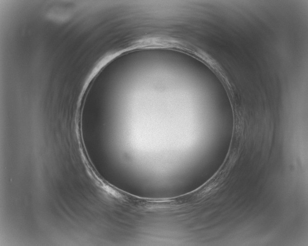 X0000056021486200508191314
