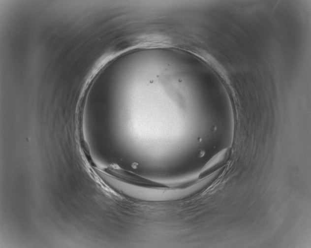 X0000056021488200508191314