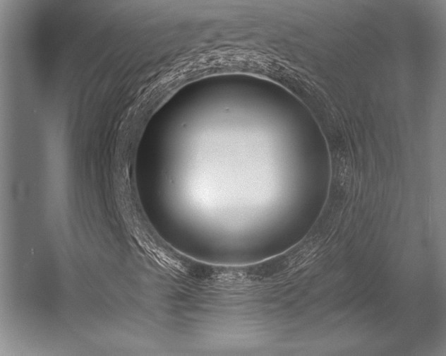 X0000056021489200508191313