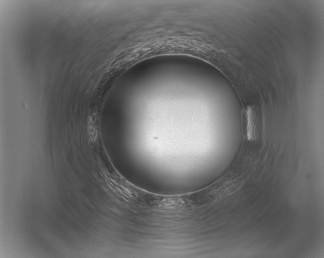 X0000056021491200508191313