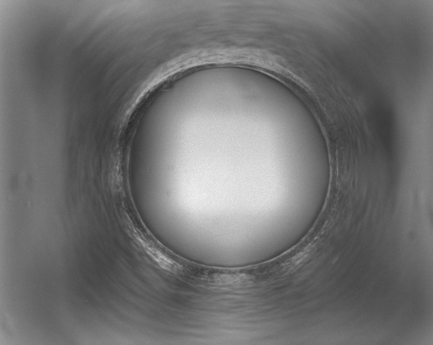 X0000056021498200508191314