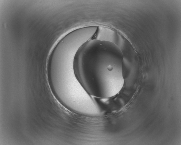 X0000056021508200508191314