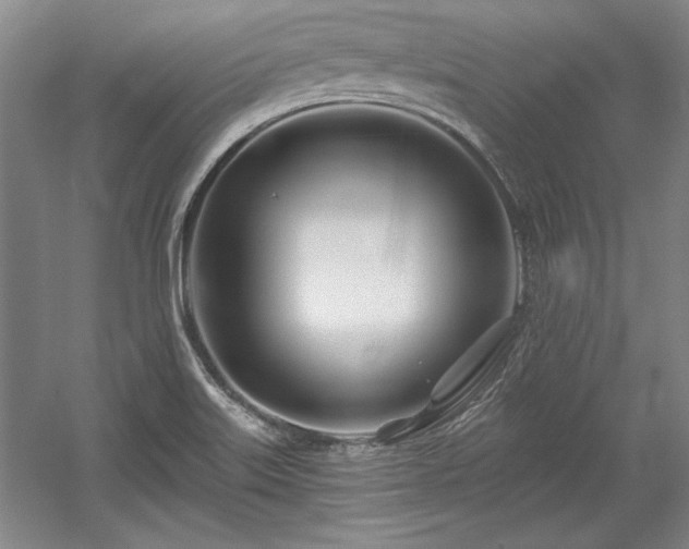 X0000056021515200508191314