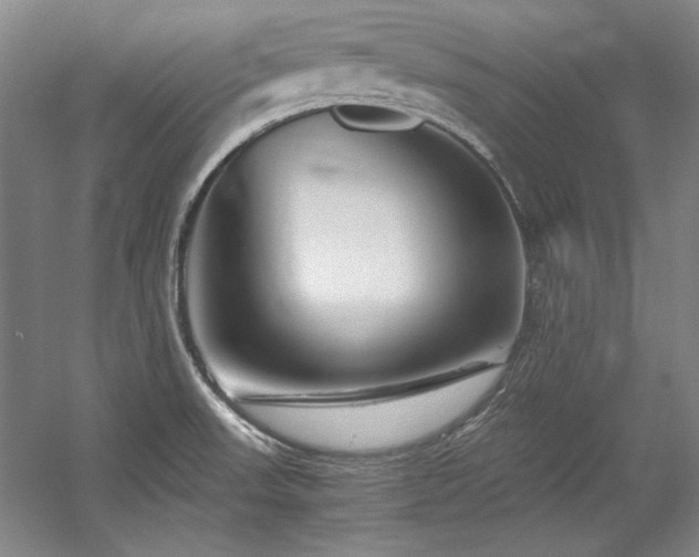 X0000056021523200508191314