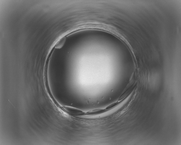 X0000056021533200508191314