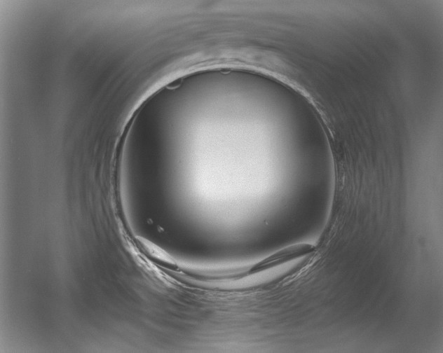 X0000056021534200508191314