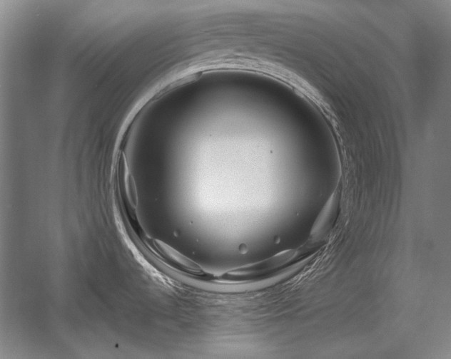 X0000056021536200508191314