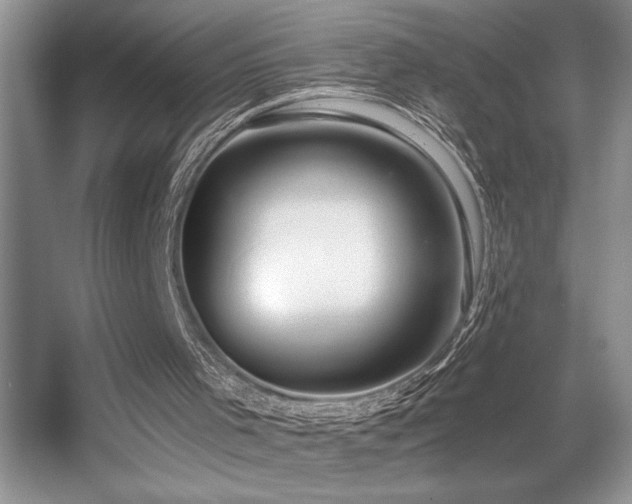 X0000056020001200508221533