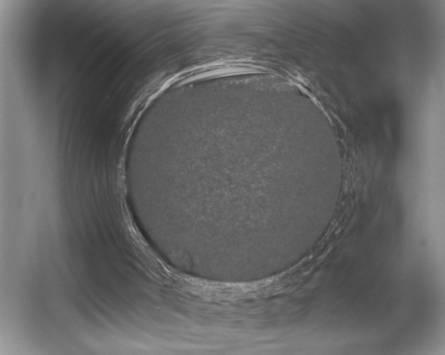 X0000056020002200508221533