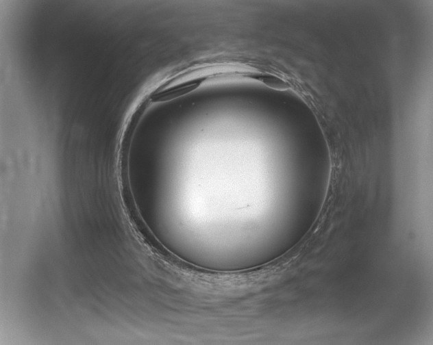X0000056020006200508221533