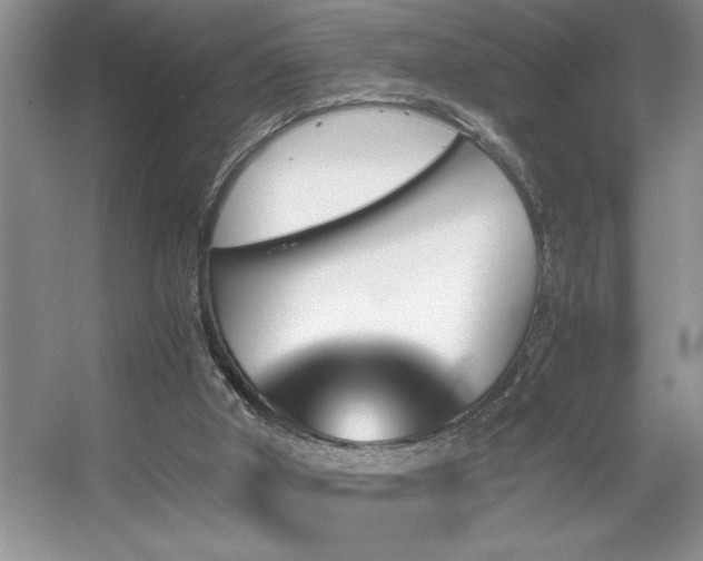 X0000056020010200508221533