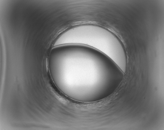 X0000056020013200508221533