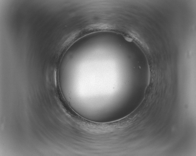 X0000056020014200508221533
