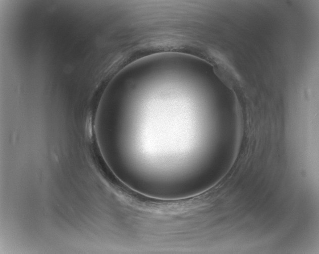 X0000056020021200508221532