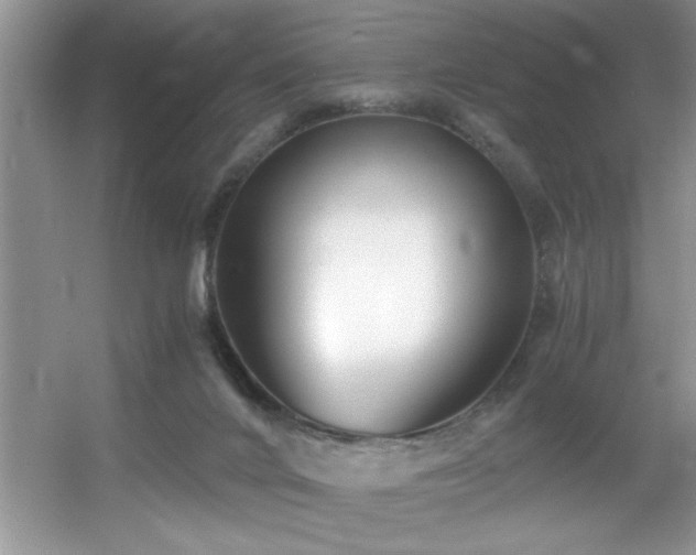 X0000056020024200508221532