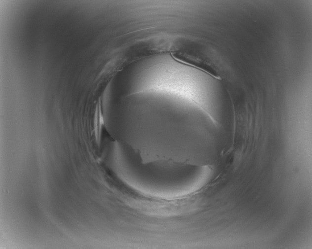 X0000056020035200508221532